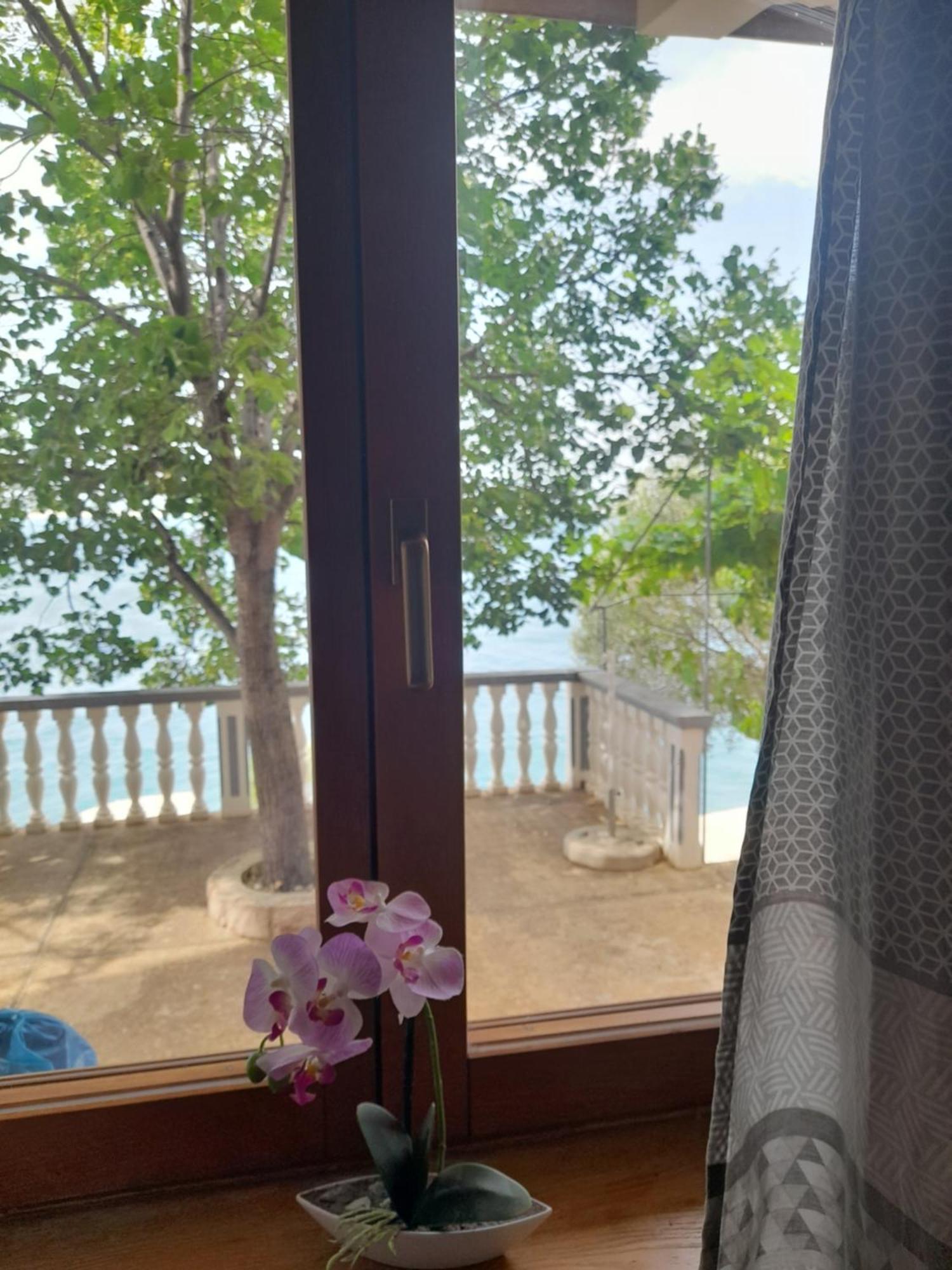 Apartmani Antea 스타리그라드 파클레니차 객실 사진